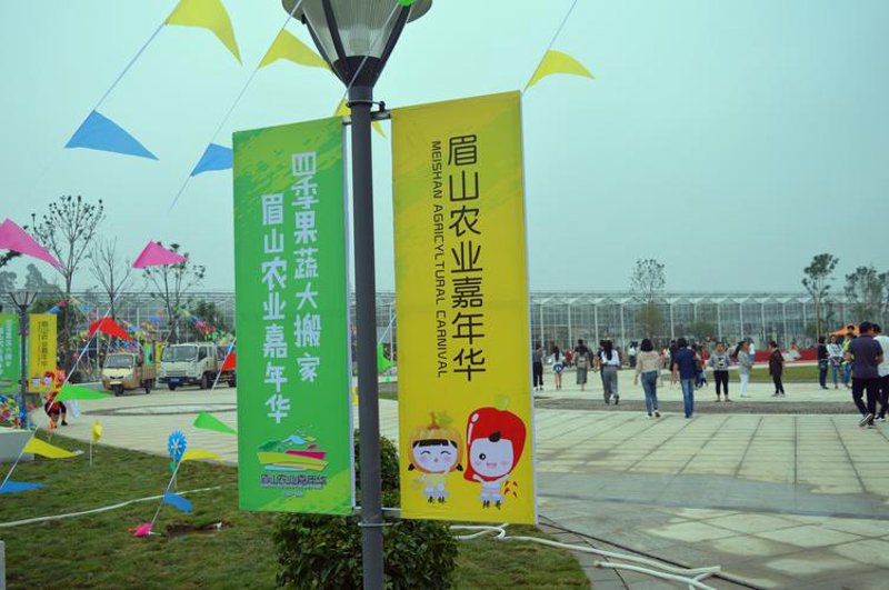 农事体验：走进田园风光的乐趣