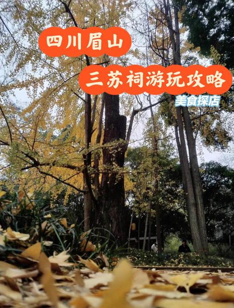 农业观光：让田园牧歌成为都市人的日常
