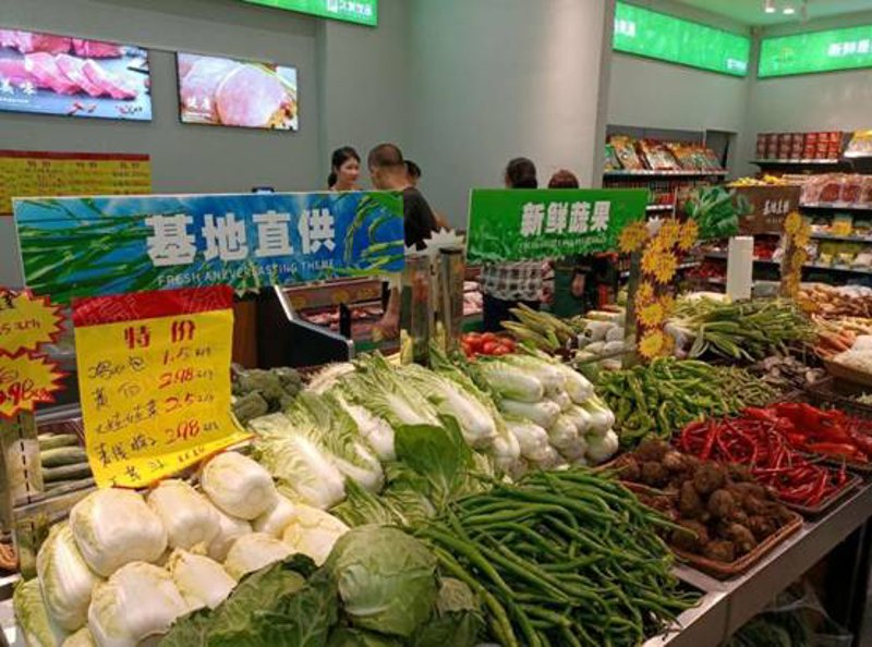 眉山乡村旅游新风貌：生态之美与文化之韵
