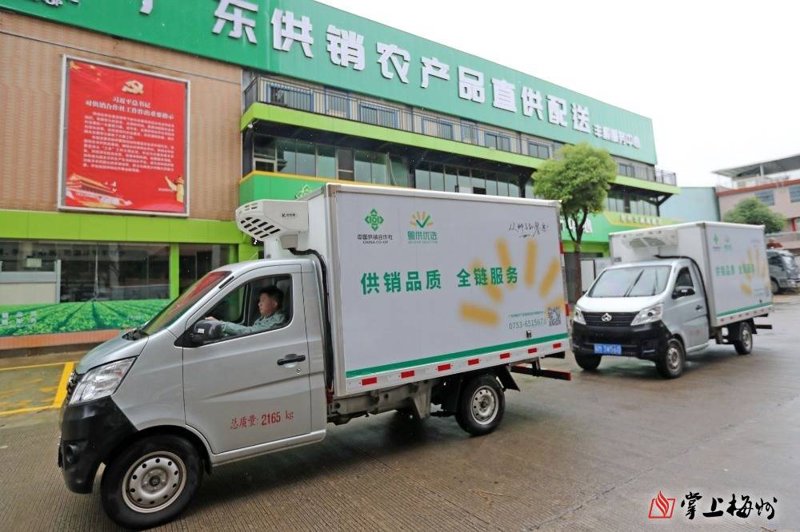 农业观光的蓬勃发展与未来趋势