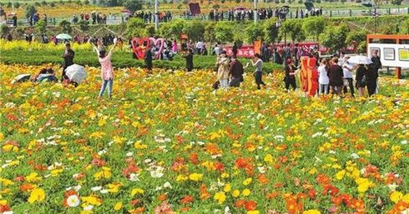 眉山农旅：探索乡村生活的魅力